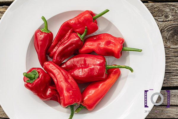 photo-jardin-des-ecoumenes Photographe entreprise alimentation