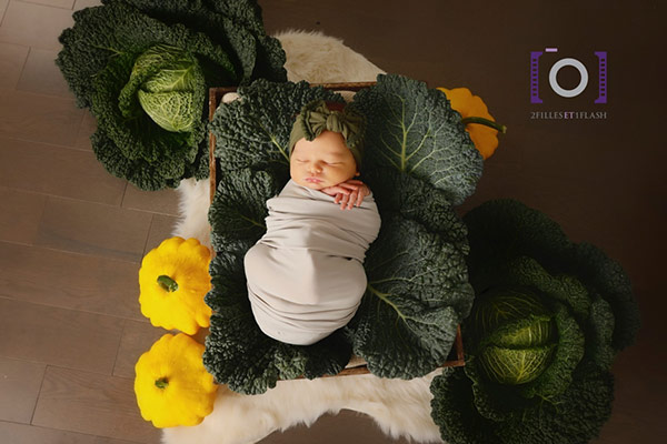 Photographe bébé studio dans les choux